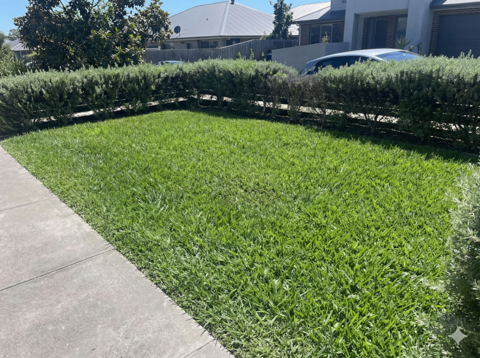 CJ Lawn Mowing Services | Reliable Lawn Care Across Sydney